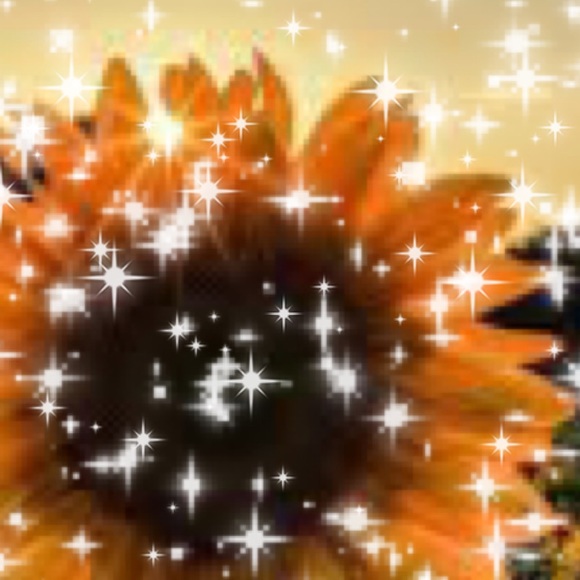 Meet your Posher, Allison - Picture 1 of 1